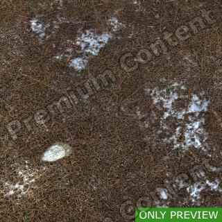 PBR substance preview forest ground snowy 0005